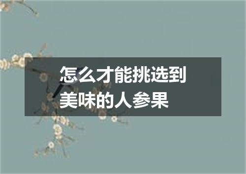 怎么才能挑选到美味的人参果