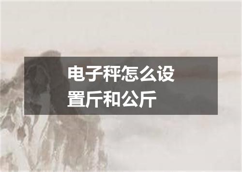 电子秤怎么设置斤和公斤