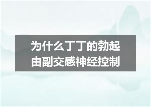 为什么丁丁的勃起由副交感神经控制