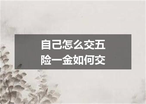 自己怎么交五险一金如何交