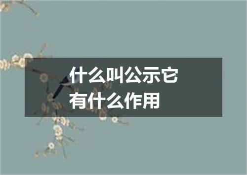 什么叫公示它有什么作用