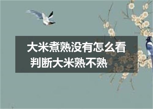大米煮熟没有怎么看 判断大米熟不熟