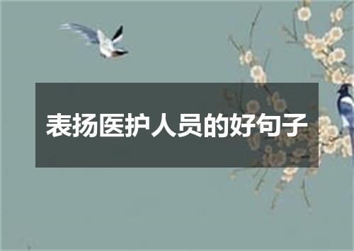 表扬医护人员的好句子