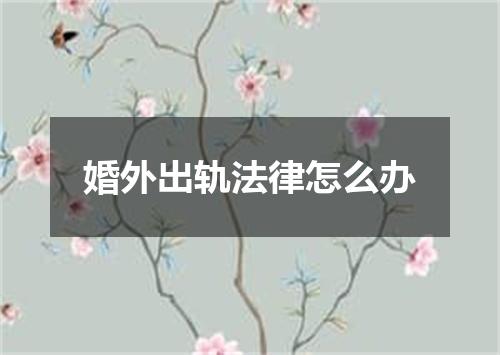 婚外出轨法律怎么办