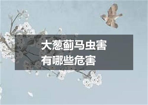 大葱蓟马虫害有哪些危害