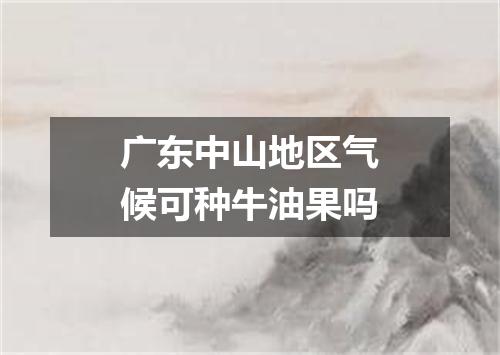 广东中山地区气候可种牛油果吗