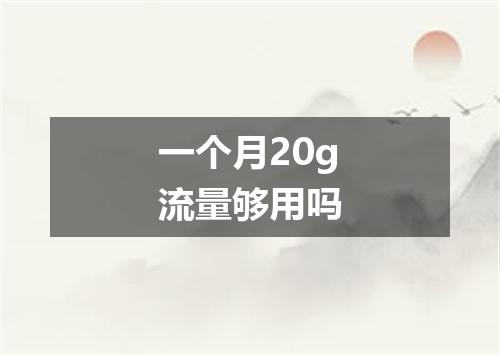 一个月20g流量够用吗