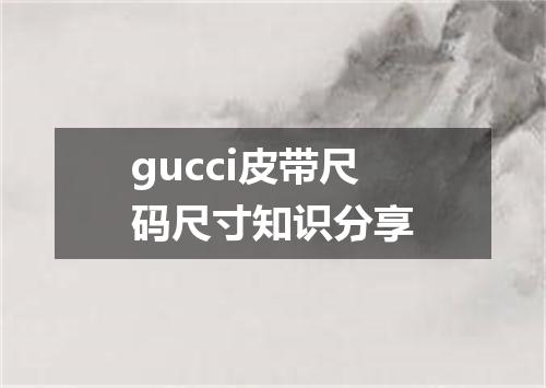 gucci皮带尺码尺寸知识分享