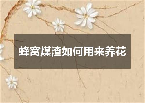 蜂窝煤渣如何用来养花