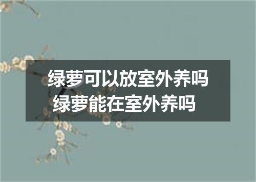 绿萝可以放室外养吗 绿萝能在室外养吗