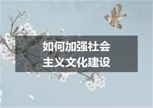 如何加强社会主义文化建设