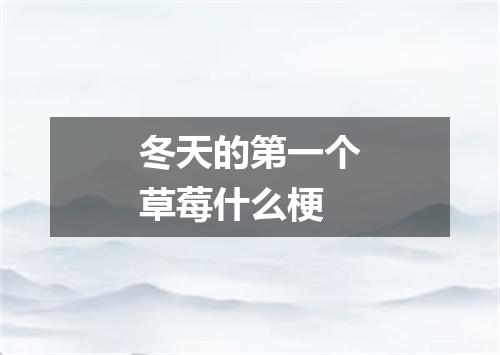 冬天的第一个草莓什么梗
