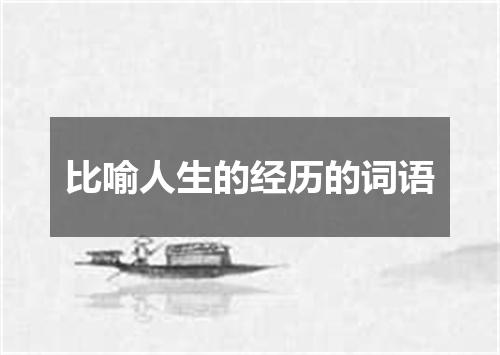 比喻人生的经历的词语