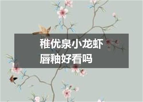 稚优泉小龙虾唇釉好看吗