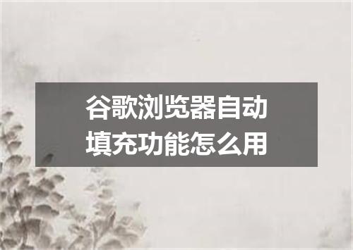 谷歌浏览器自动填充功能怎么用