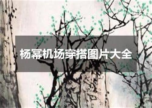 杨幂机场穿搭图片大全