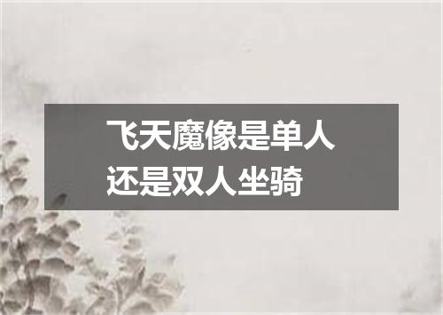 飞天魔像是单人还是双人坐骑