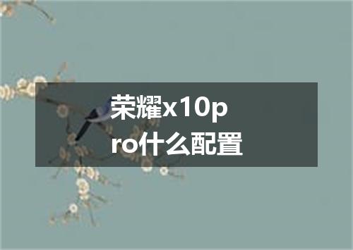 荣耀x10pro什么配置