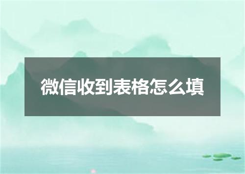微信收到表格怎么填