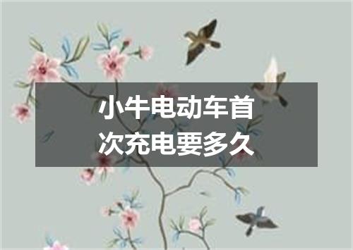 小牛电动车首次充电要多久