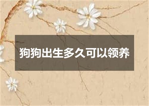 狗狗出生多久可以领养