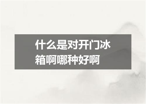 什么是对开门冰箱啊哪种好啊