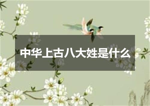 中华上古八大姓是什么