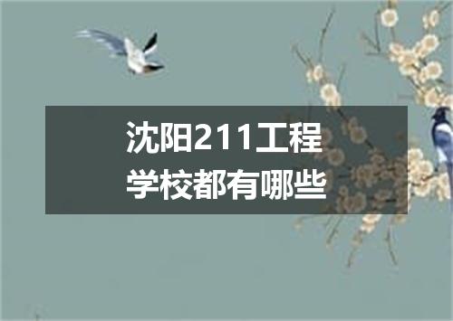 沈阳211工程学校都有哪些