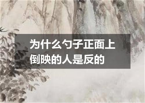 为什么勺子正面上倒映的人是反的