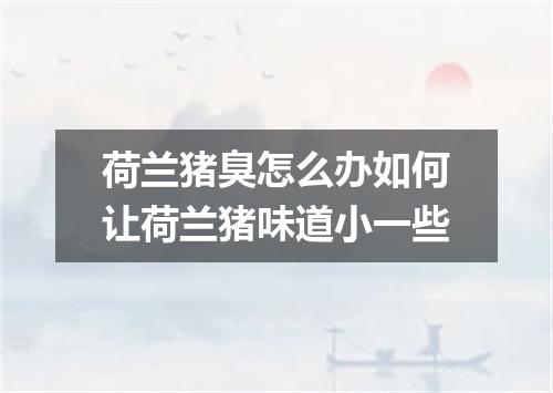 荷兰猪臭怎么办如何让荷兰猪味道小一些