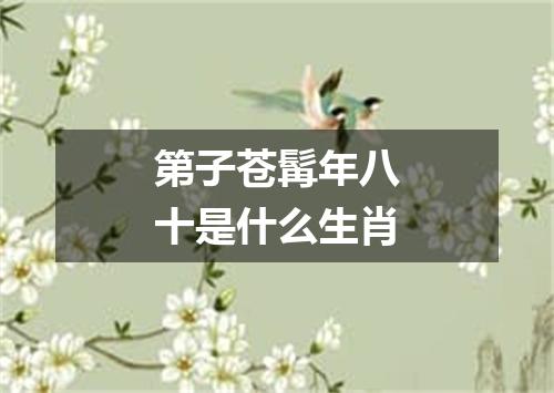第子苍髯年八十是什么生肖