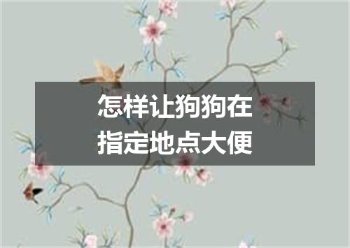 怎样让狗狗在指定地点大便