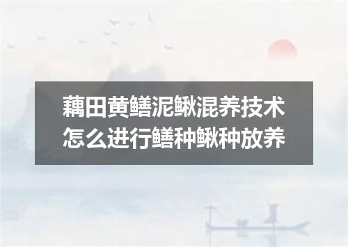 藕田黄鳝泥鳅混养技术怎么进行鳝种鳅种放养
