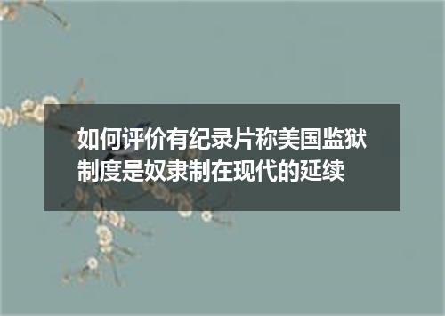 如何评价有纪录片称美国监狱制度是奴隶制在现代的延续