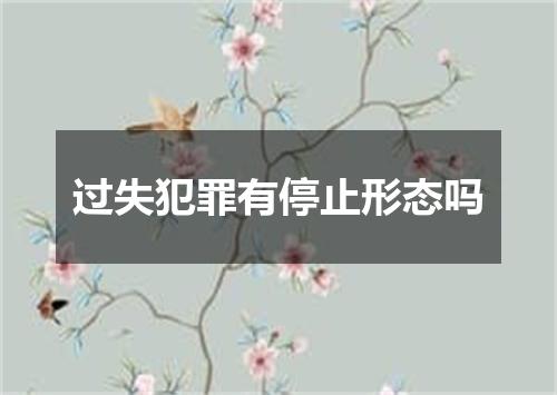 过失犯罪有停止形态吗