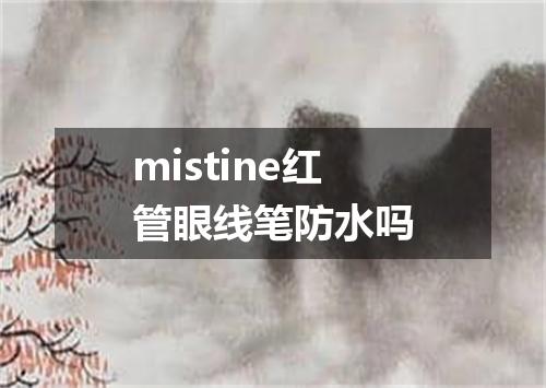 mistine红管眼线笔防水吗