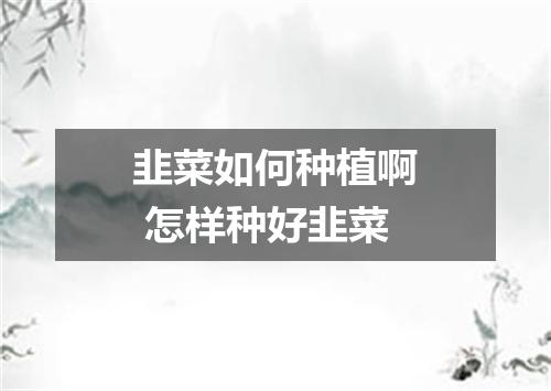 韭菜如何种植啊 怎样种好韭菜