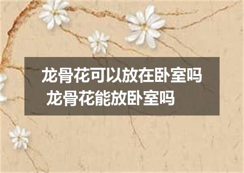龙骨花可以放在卧室吗 龙骨花能放卧室吗