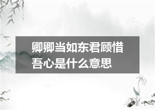 卿卿当如东君顾惜吾心是什么意思