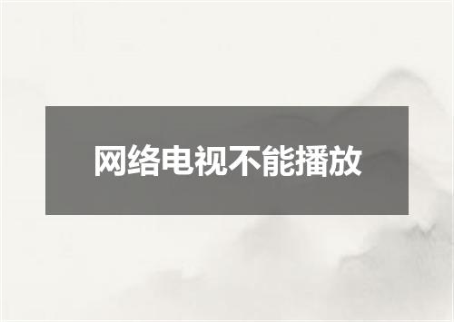 网络电视不能播放