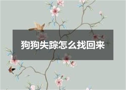 狗狗失踪怎么找回来