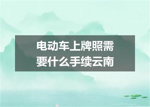 电动车上牌照需要什么手续云南