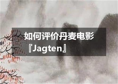 如何评价丹麦电影『Jagten』