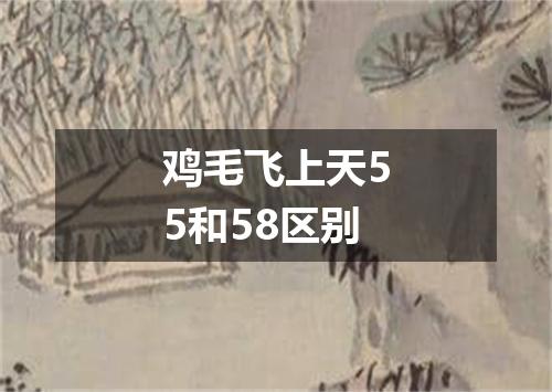 鸡毛飞上天55和58区别