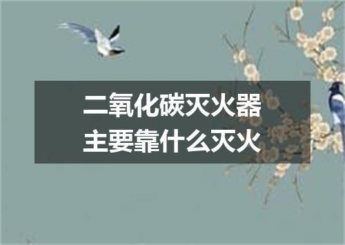 二氧化碳灭火器主要靠什么灭火