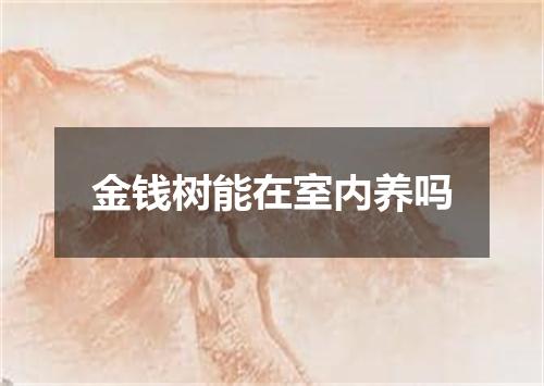 金钱树能在室内养吗