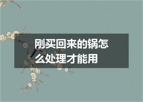 刚买回来的锅怎么处理才能用