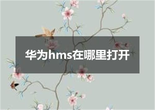 华为hms在哪里打开