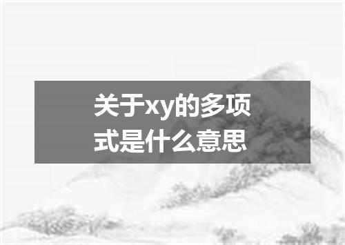关于xy的多项式是什么意思