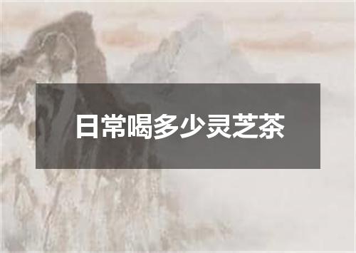 日常喝多少灵芝茶